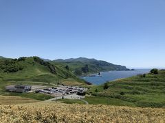 �_�Ж��̎ʐ^1