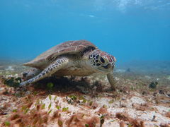 ܂܂񂳂̃}BbWւ̓eʐ^1