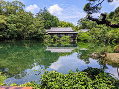 今年は満水 三島市立公園 楽寿園の口コミ じゃらんnet