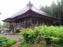 �j�C�`��������̉H���R���P�@�������ւ̓��e�ʐ^1