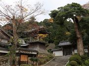 Yanwenli̗쎰R {莛̓eʐ^5