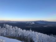 タ񂳂̖Ύӂ̖X̓eʐ^1