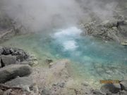 jC`̋ʐ쉷 啬̓eʐ^1