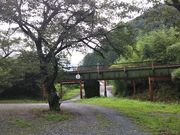 ߋT|~̃ÂЂ炢̓eʐ^3