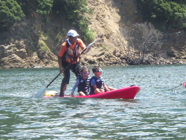 rŃCXgN^[ɖʓ|݂ĂĂ鏬w̎qQl_CƘai݂ƂȂށj