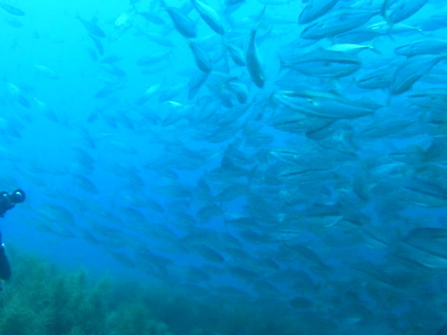 n}`̃gl[hP_ዷ_CrOT[rX