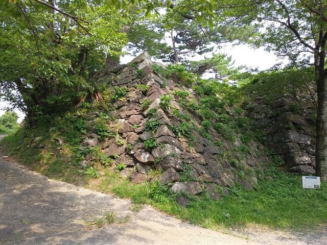 �Ί__���H���