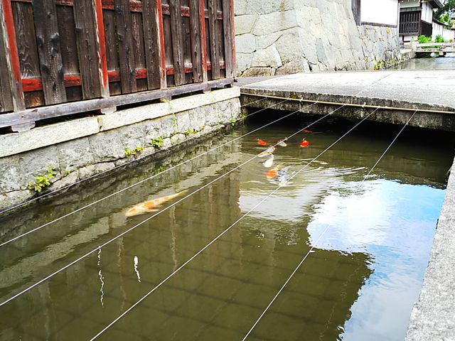 ��������̌�_���Ƃ̒�����