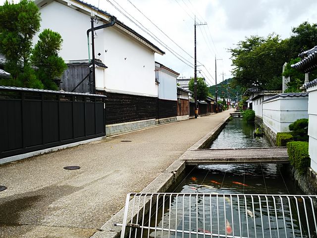 ���ǂ̊X����_���Ƃ̒�����