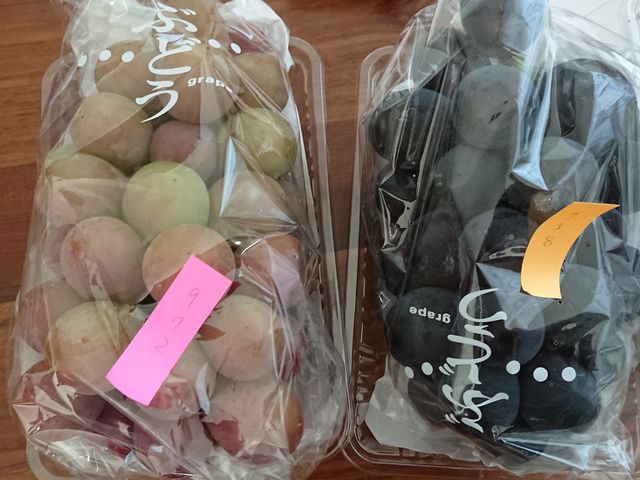 �������|�N�C�[���A��ϊÖ�������܂��B
�E�͓����A���喳���̔��������ł��I_�݂Ȃ��݃t���[�c�����h���M�g�[��