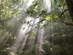 ӂ܂񂳂̃K̐Xւ̓eʐ^1