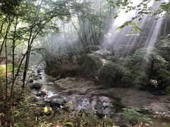 ӂ܂񂳂̃K̐Xւ̓eʐ^2