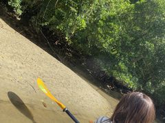 ������������̃J���b�N �C�[�Y�ւ̓��e�ʐ^1