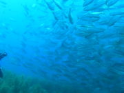 ~X^[̎ዷ_CrOT[rX̓eʐ^1