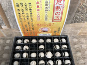 傤܂̋vɓ_Ђ̓eʐ^4