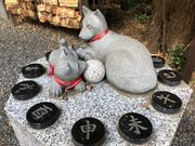 傤܂̋vɓ_Ђ̓eʐ^5