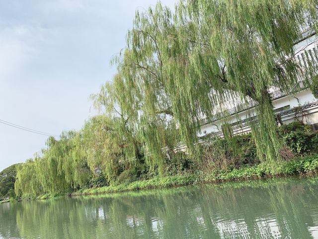 �V�C�ǂ�_��������ό�