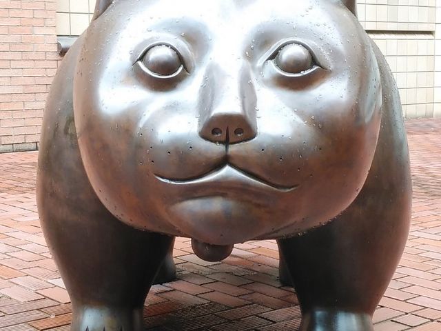 �L_�{�錧���p��