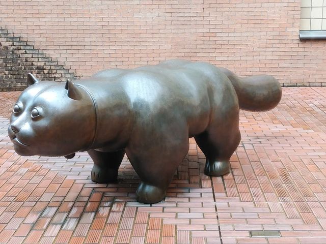 �L_�{�錧���p��