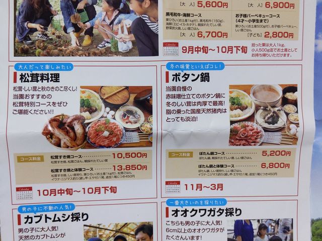 �p���t���b�g_���������L�n�x�m