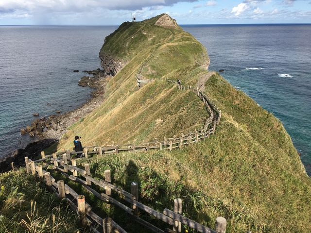 �_�Ж��ƐϒO�u���[_�_�Ж�