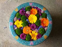 jR񂳂̈bώRւ̓eʐ^1