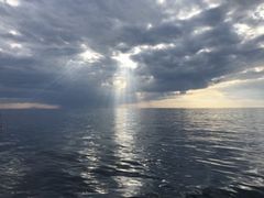 �̂Ԃ���񂳂�̒m���ό��D���[���ւ̓��e�ʐ^2