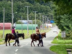 ̃tmgbLOT|[gVnւ̓eʐ^1