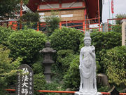 傤܂̒ˉz׎Ђ̓eʐ^5