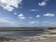 [񂳂̍riT[o^nj̓eʐ^1