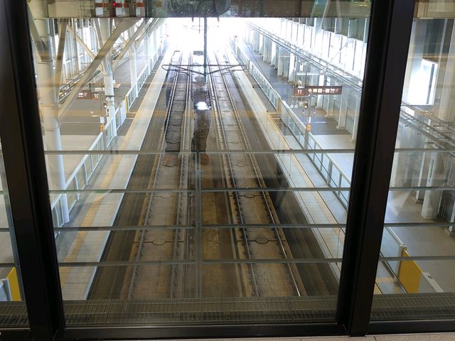 �V�����z�[��_�V���ٖk�l�w�O�r��