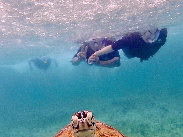 �J�������J�����ڐ��H��_Reeftour HONEY