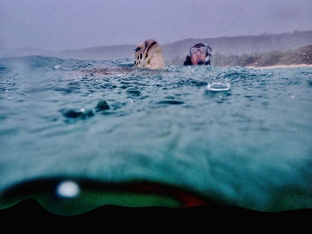 �T�̌ċz�@��m�^�@�c�[�V���b�g�I��_Reeftour HONEY