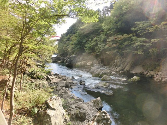 ���Ìˋ��V�����@�n�ǐ���_���Ìˋ��V����