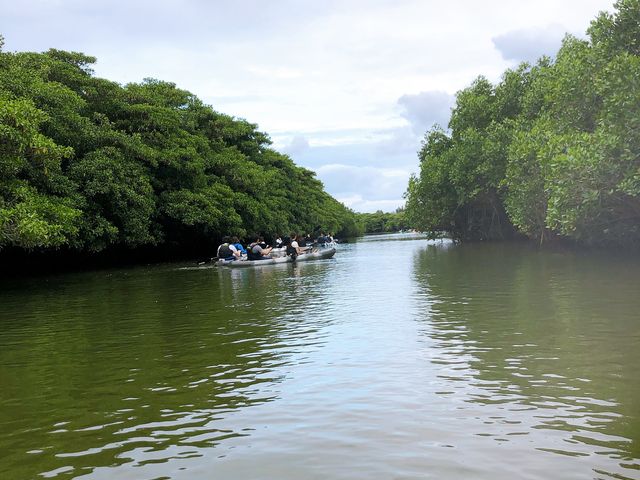 雲天だけど楽しいツアー_OHCUS石垣島