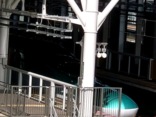 �����s���A�V����_�V���ٖk�l�w�O�r��