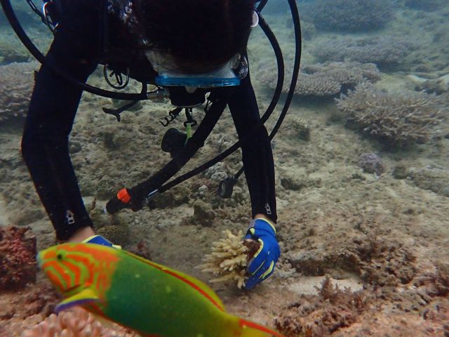 �T���S�A_����_�C�r���O�T�[�r�XLagoon�i���O�[���j