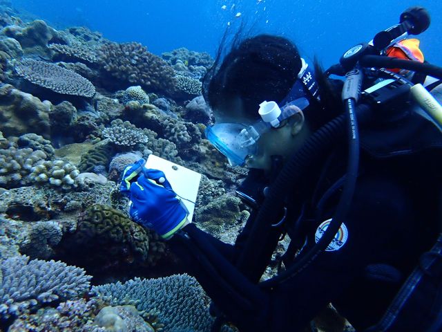 �u�K��_����_�C�r���O�T�[�r�XLagoon�i���O�[���j