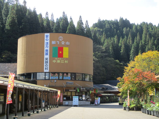 ���������فA���������̉w_���̉w �␶���R