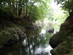 Aruna����̓��V�{�l���_�Ђւ̓��e�ʐ^1