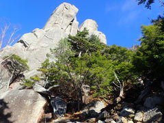 }Cann̐୎Rւ̓eʐ^1