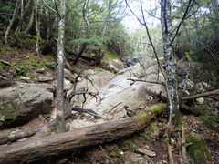 }Cann̐୎Rւ̓eʐ^1