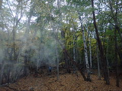 }Cann̐୎Rւ̓eʐ^1