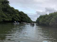 Ȃ܂܁BOHCUSΊ_ւ̓eʐ^1