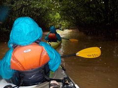 낤̂΂鎩Rmւ̓eʐ^1