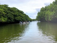 Ȃ܂܁BOHCUSΊ_ւ̓eʐ^1