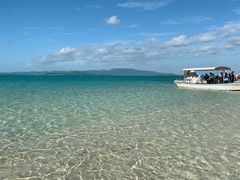 ݂񂳂̃}W[VMւ̓eʐ^1