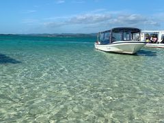 ݂񂳂̃}W[VMւ̓eʐ^1