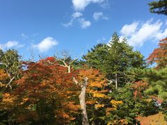 見晴公園 香雪園 の口コミ一覧 じゃらんnet