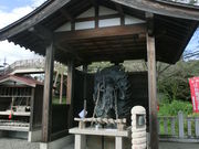 �A�b�L����̌��h���̓��e�ʐ^7